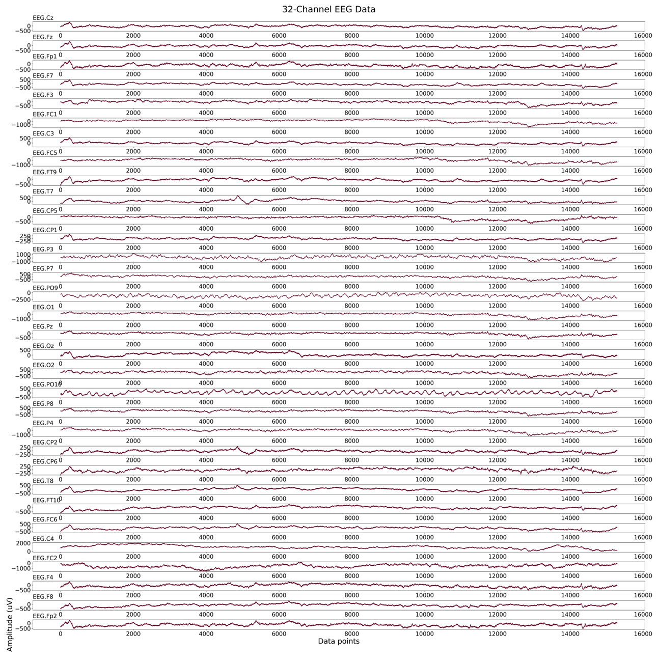 原始 EEG 数据